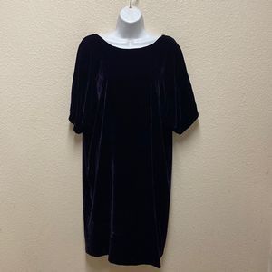 Lauren Ralph Lauren Velvet Shift Dress Size 12 (closer to a size 10)